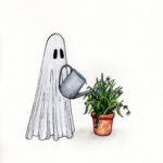 Spider Plant Ghost