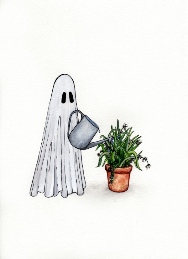 Spider Plant Ghost