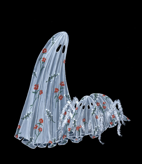 Ghost With Ghost Spider - Floral